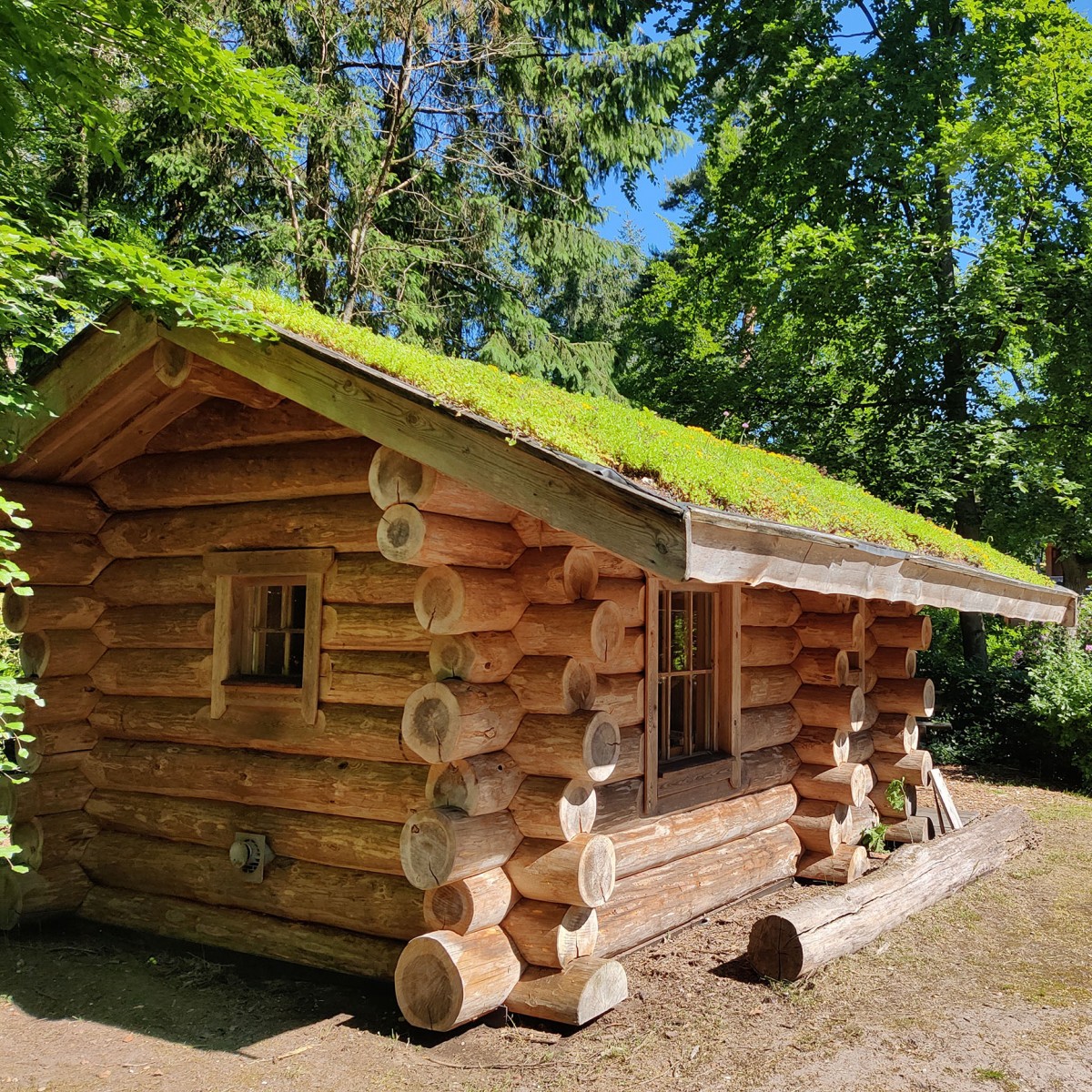Groen dak